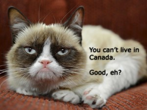 What a little bugger you are, Grumpy Cat